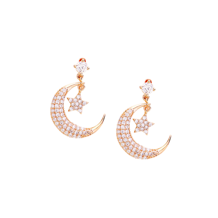 Crescent Moon/Star Earring