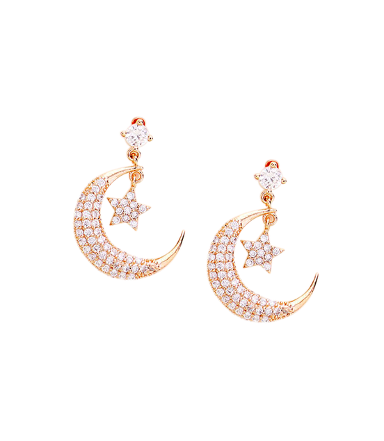 Crescent Moon/Star Earring