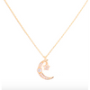 Cresecent Moon Necklace